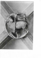 F472 alte  AK Lutherstadt Wittenberg Stadtkirche Lamm Gottes  beschrieben 1983