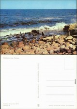 Mecklenburg Vorpommern Grüße von der Ostsee: Wellen, Steine, Möwen 1986