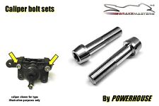 Kawasaki ZZR1100 D1 1993 Bremssattel Hinten Gelenk Halb Bolzen Edelstahl Konisch