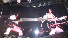 elvis Live concert Photos 1974