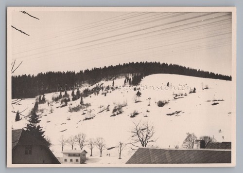 Reise todtnau muggenbrunn - muggenbrunn, 1959