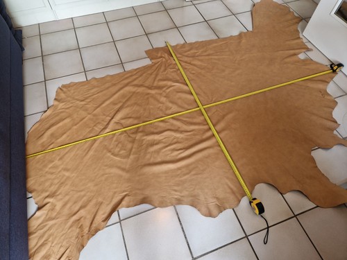 Lederhaut rindleder ca - lederhaut, /