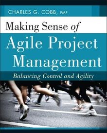 Making sense agile project - of,