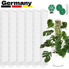 6er Moosstab Rankhilfe 61cm
