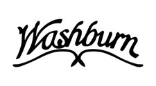 Washburn #1
