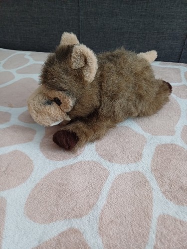 Steiner wildschwein - steiner,