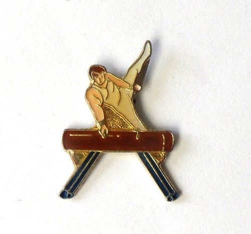 Pin turnerin bogenpferd - pin's,