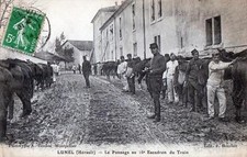 CPA 34 LUNEL LE PANSAGE AU 16e ESCADRON DU TRAIN (SCHÖNE ANIMATION