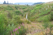 Foto 6x4 Middle Burn Shiplaw