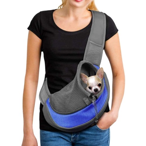 Haustier hunde katzen - hunde,