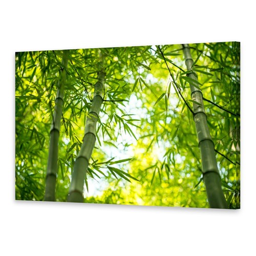 Leinwand bilder wandbild druck - leinwand-bilder,