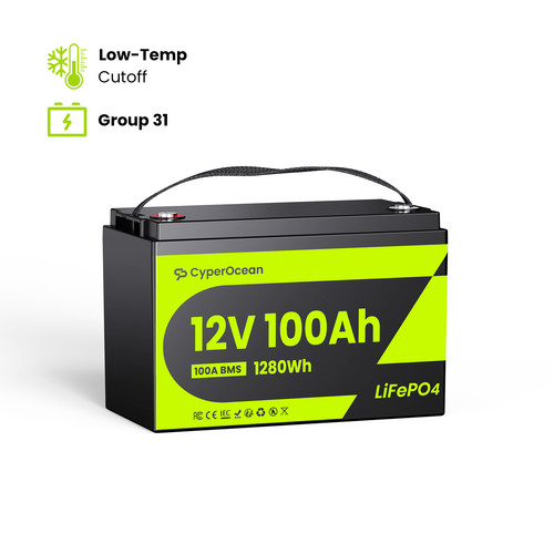Lifepo4 12v 100ah lithium - 12v,