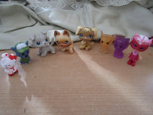 Hello kitty paw - kitty,,