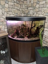 Aquarium Eckaquarium mit Unterschrank