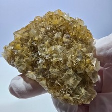 Phantom Fluorit Würfel Stufe