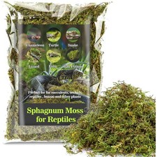 Reptilien Moos Sphagnum
