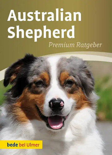 Australian shepherd zustand - shepherd,