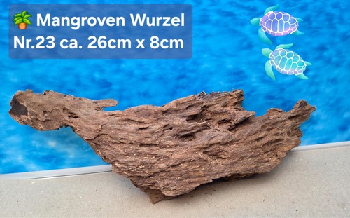 Mangroven aquarium - mangroven, aquarium🗿