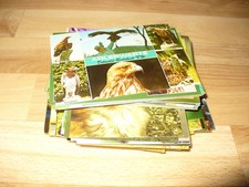 Karton mit 134 tiere - karton, st.