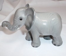 kleiner junger Elephant