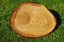 Baumscheibe Holzscheibe