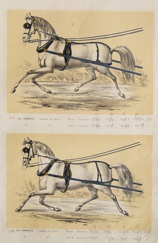 Einspänner zaumzeug geschirr - einspänner,
