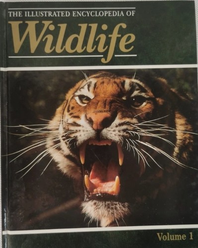 The illustrated encyclopedia - the,