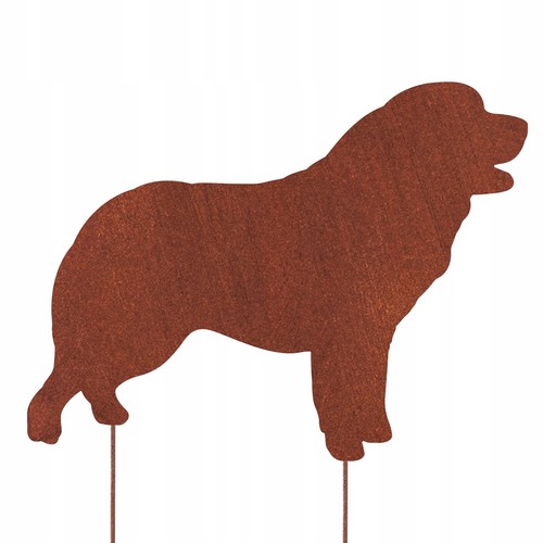 Pyrenäenberghund corten hund - pyrenäenberghund,