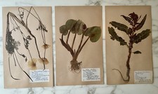 3er Set seltene Vintage