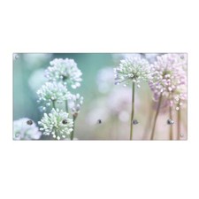 banjado Wandgarderobe Flur Echtglas 80x40cm Garderobe mit 5 Haken Lauchblüte