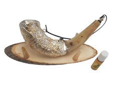 Amezing Shofar Öl 13 Zoll