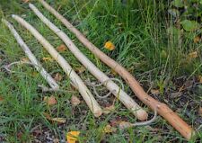 Wanderstock , Hirtenstock 