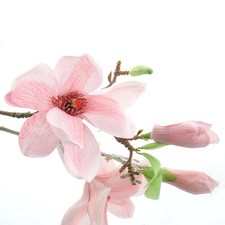 GASPER Magnolienzweig Pink 37