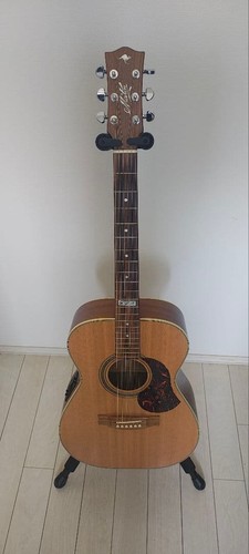 Maton ebg808te - maton,