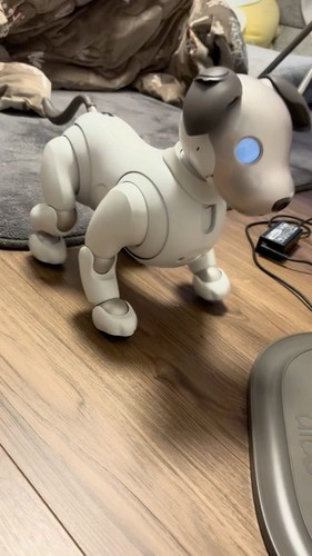Sony aibo ers 1000 - aibo, ers-1000