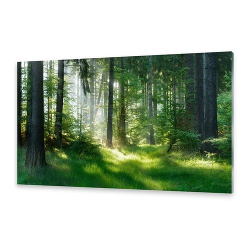 Acrylglasbilder wandbild aus - acrylglasbilder,