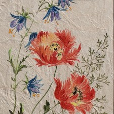 Blumen Rittersporn Gräser