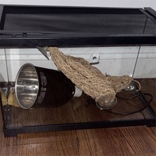 Glass Reptile Terrarium with