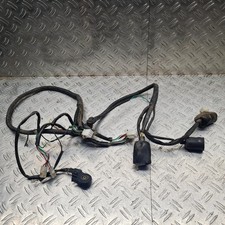 Kabelbaum Rex RS 450/500 China Roller GY6 Orig. #29723