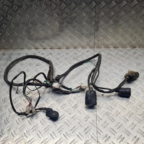 Kabelbaum rex 450 500 - kabelbaum, rs