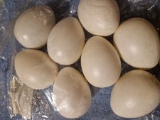 Plastik-Eier 8 Stck., 9 cm, zum Bemalen, Bekleben, Dekorieren, neu aus Nachlass