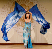 Bauchtanz Kostüm Pailletten Bellydance costume Saidikleid Kleid Bauchtanzkleid