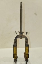 TGB BUNNY AT 50 GABEL