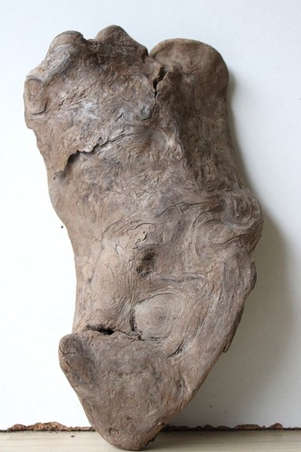 Treibholz schwemmholz - treibholz,