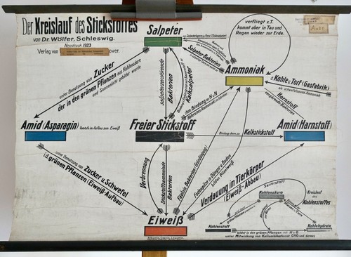 Vintage schulwandkarte - vintage,