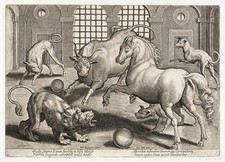 Löwe Pferd Hunde Stier Kampf