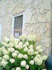 Polygonalplatten Natursteine