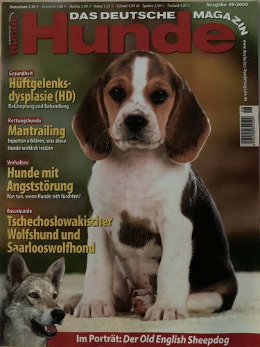 Das deutsche hundemagazin - hundemagazin,