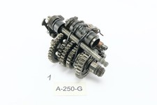 Aprilia RS 125 Rotax 123 -