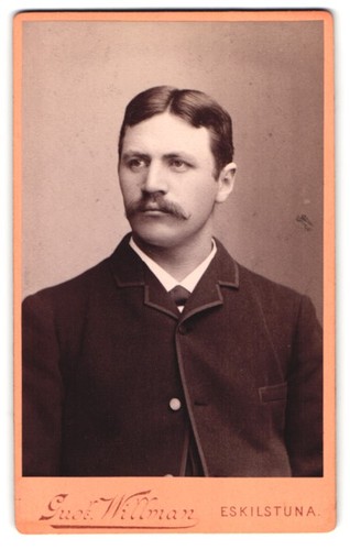 Fotografie gustaf willman - gustaf,